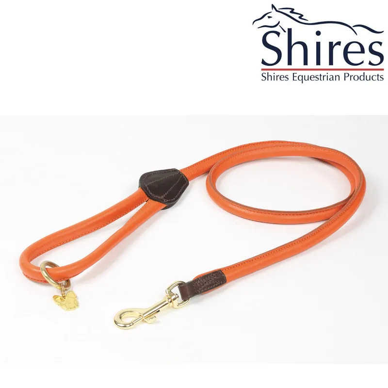 Digby and Fox Rolled Leather Dog Lead - Orange